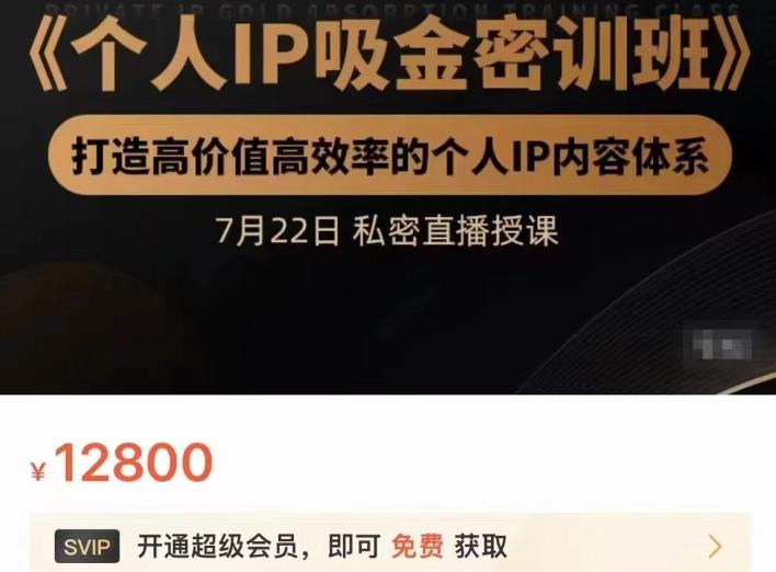 个人IP吸金密训班，打造高价值高效率的个人IP内容体系（价值12800元）-云创网-综合网创资源
