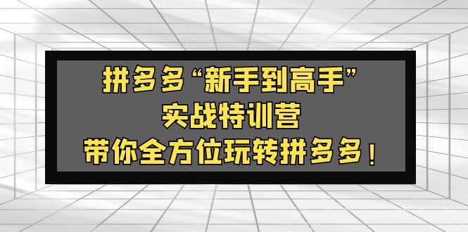 拼多多“新手到高手”实战特训营：带你全方位玩转拼多多-云创网-综合网创资源