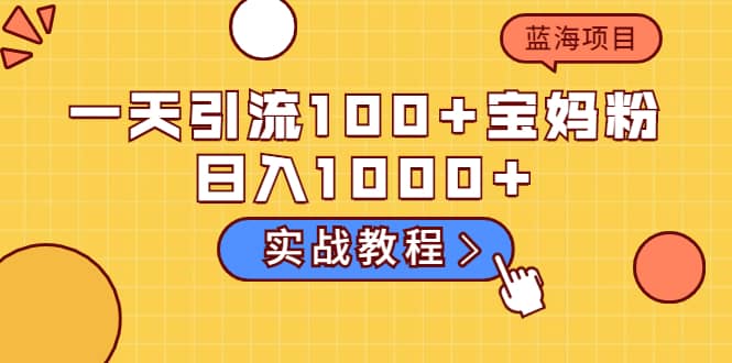 一天引流100 宝妈粉，日入1000 的蓝海项目（实战教程）-云创网-综合网创资源
