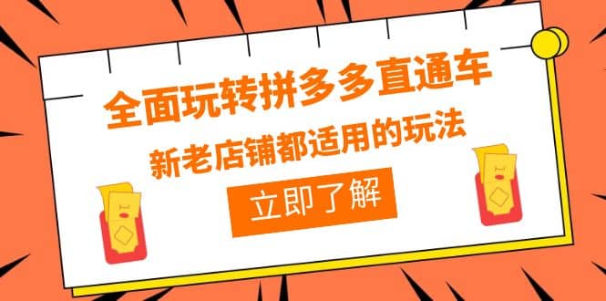 全面玩转拼多多直通车，新老店铺都适用的玩法（12节精华课）-云创网-综合网创资源