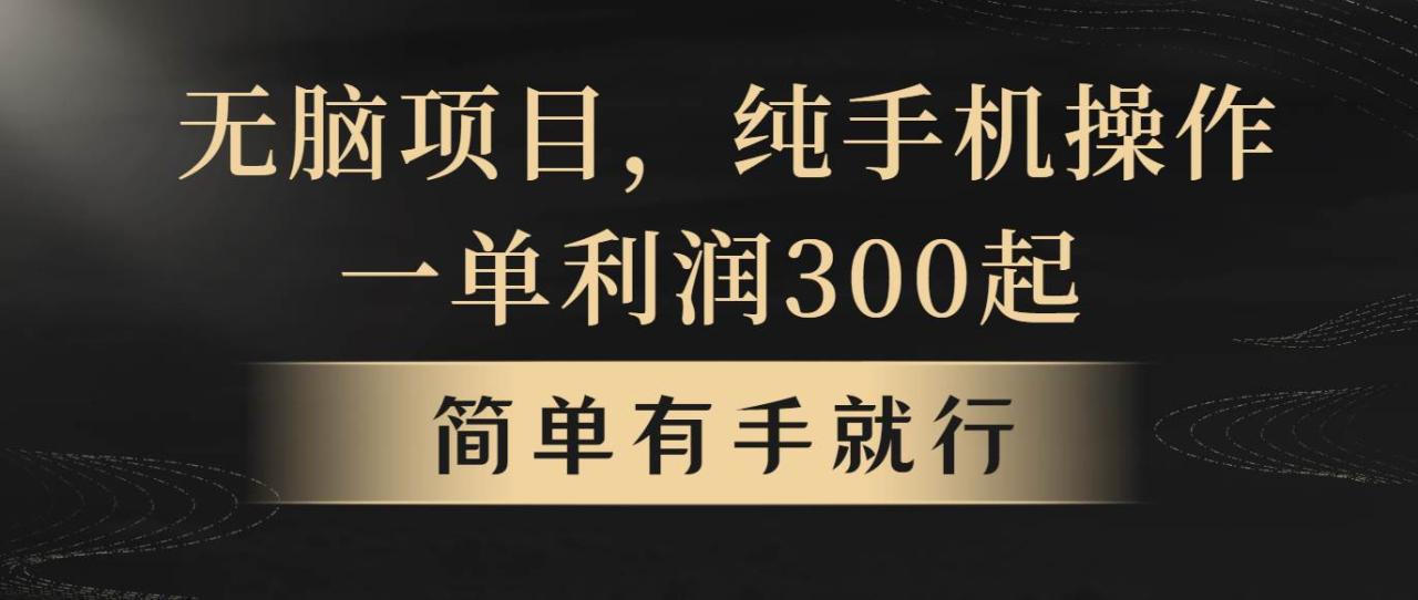 无脑项目，一单几百块，轻松月入5w+，看完就能直接操作-云创网-综合网创资源