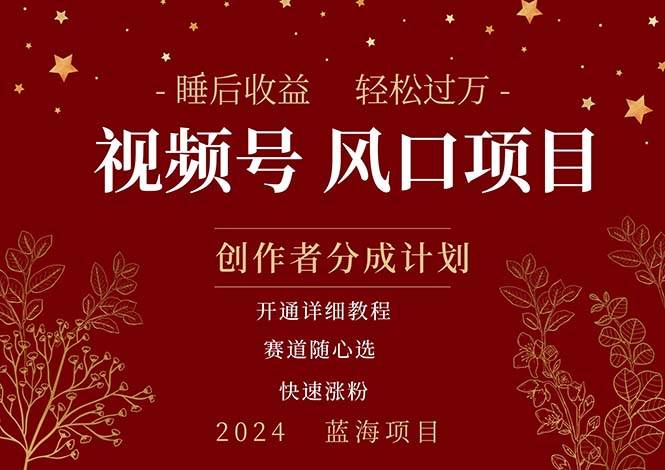 拥有睡眠收益的微信视频号大风口项目，轻松月入过万+，多赛道选择，可…-云创网-综合网创资源