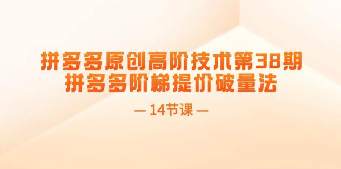 拼多多原创高阶技术第38期，拼多多阶梯提价破量法（14节课）-云创网-综合网创资源