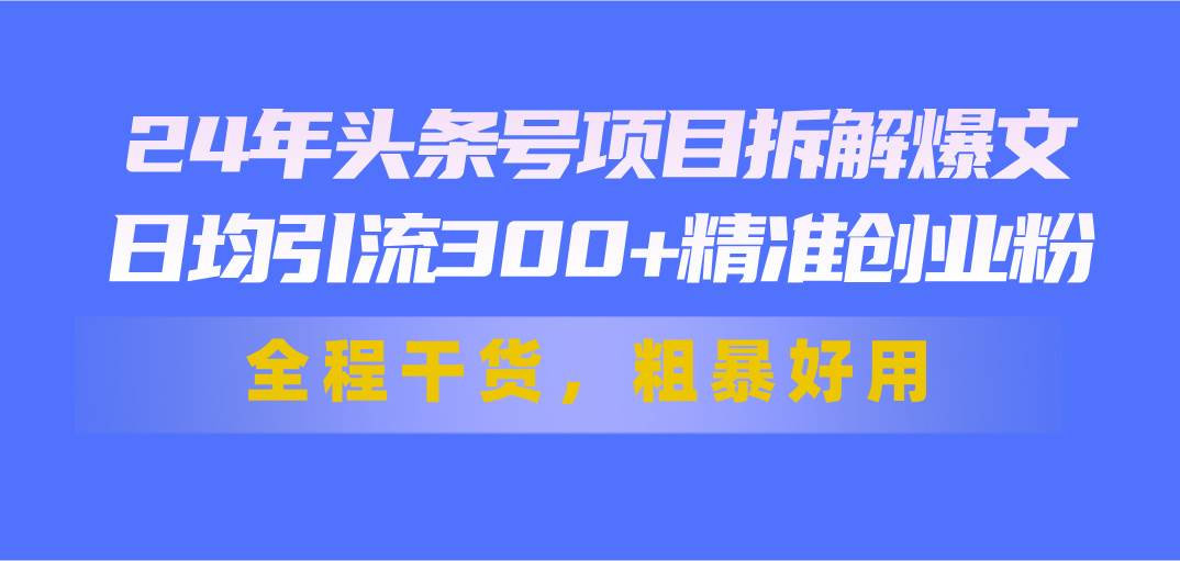 24年头条号项目拆解爆文，日均引流300+精准创业粉，全程干货，粗暴好用-云创网-综合网创资源