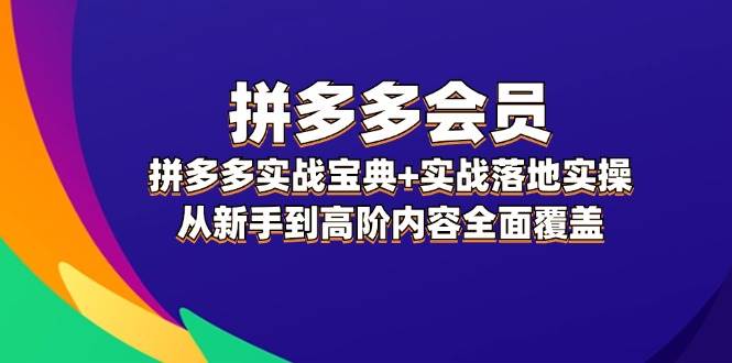 拼多多 会员，拼多多实战宝典+实战落地实操，从新手到高阶内容全面覆盖-云创网-综合网创资源