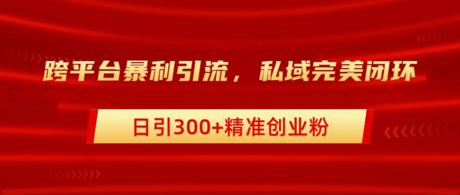 跨平台暴力引流，私域完美闭环，日引300+精准创业粉-云创网-综合网创资源