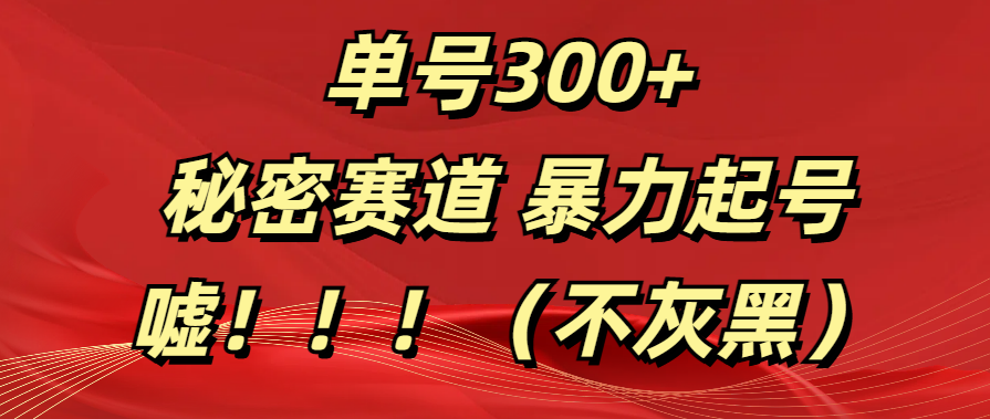 单号300+  秘密赛道 暴力起号  （不灰黑）-云创网-综合网创资源