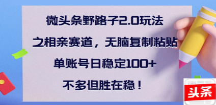 全网首发微头条野路子2.0玩法之相亲赛道，无脑搬砖复制粘贴，单账号日稳定300+保姆级教程-云创网-综合网创资源