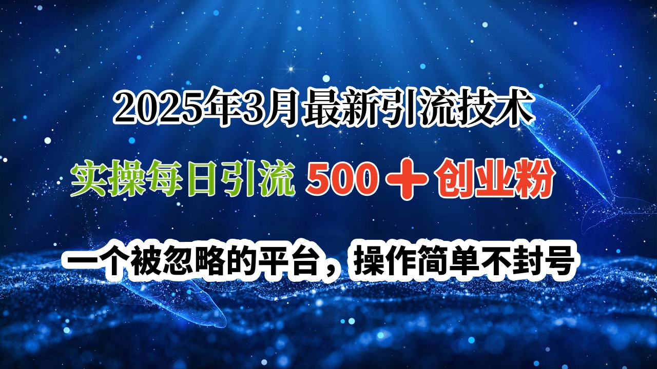 2025年3月最新引流技术，实操每日引流500➕创业粉，一个被忽略的平台，操作简单不封号-云创网-综合网创资源
